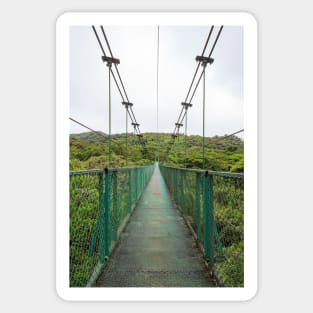 Suspension bridge in rainforest Sticker